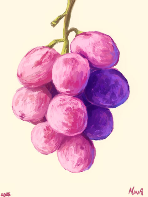 Summer Snack | Digital | 2025